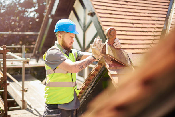 Best Roof Gutter Cleaning  in North Lakeport, CA
